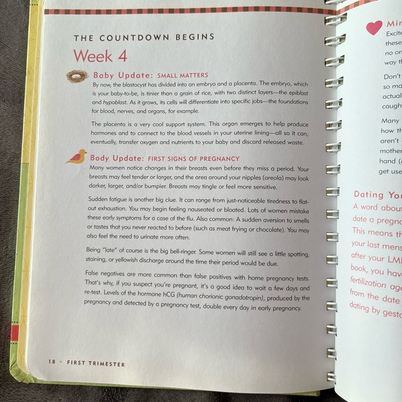 Pregnancy Journal - Picture 3 of 7